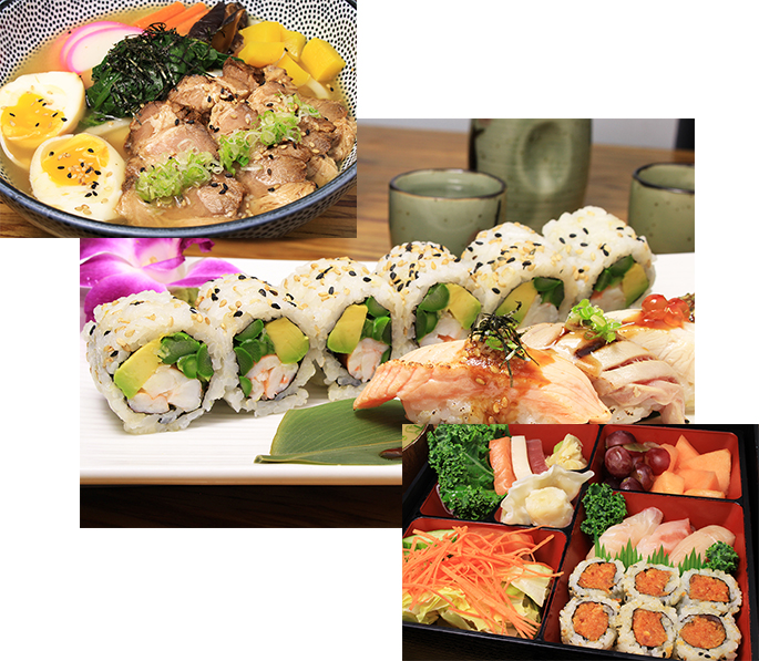Seiyo Boston